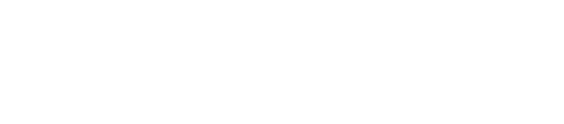 Logo Fit im Schloss