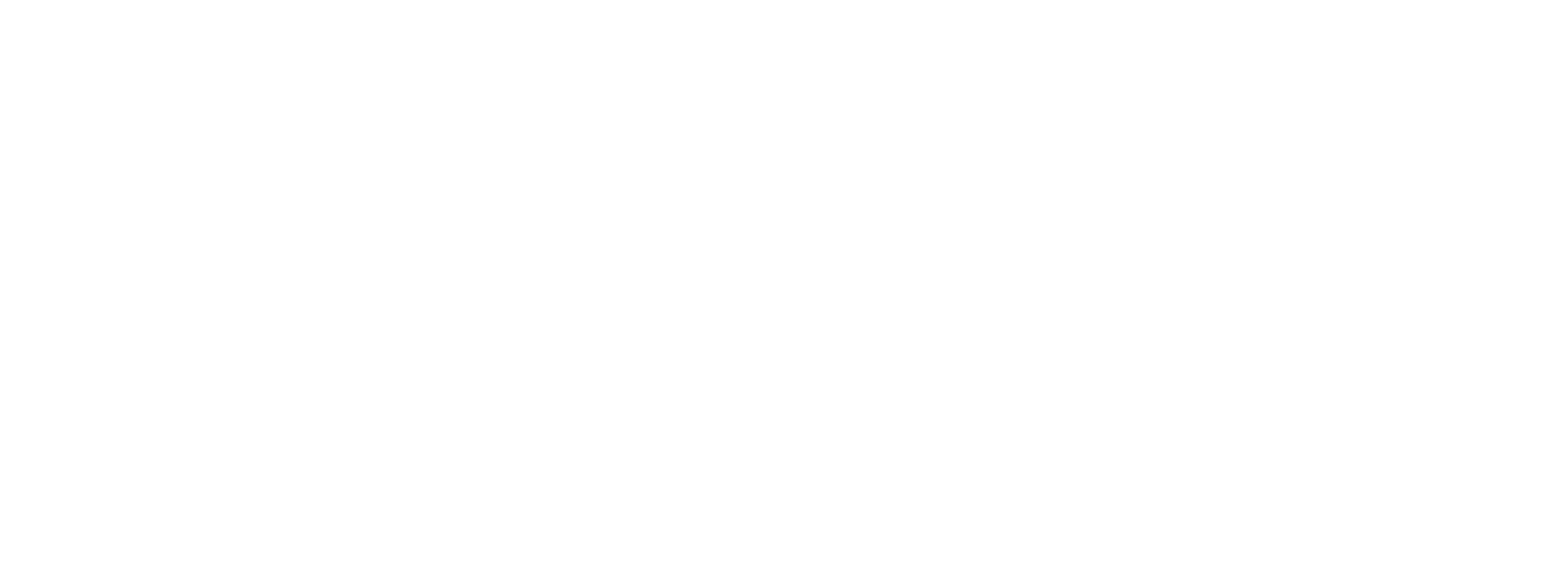 Logo Exaktes Timing & Kostensicherheit