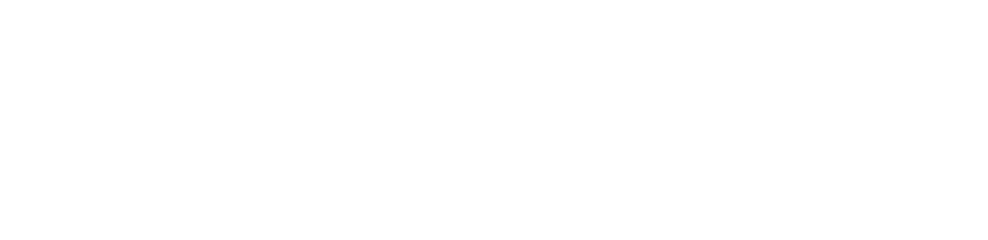 Logo Grenzenlose Schnelligkeit und Präzision
